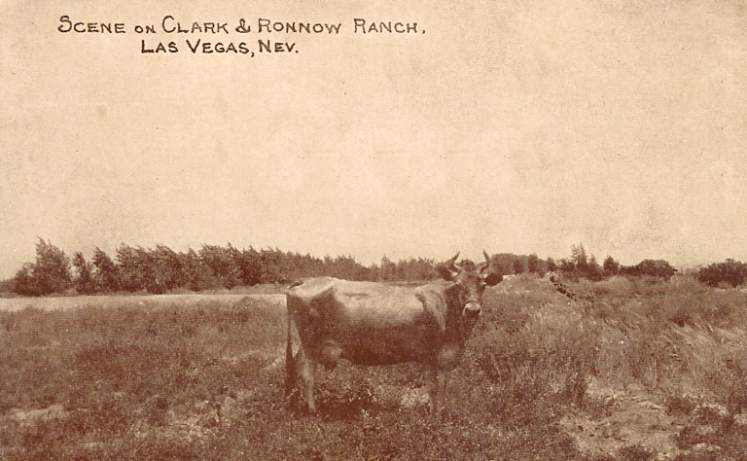 Clark Ronnow Ranch