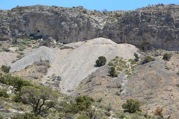Mt Potosi Mine